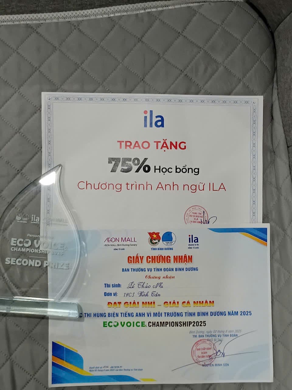 Giải nhì cuộc thi hùng biện Tiếng Anh